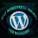 WordPress blog themes