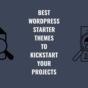best wordpress starter theme