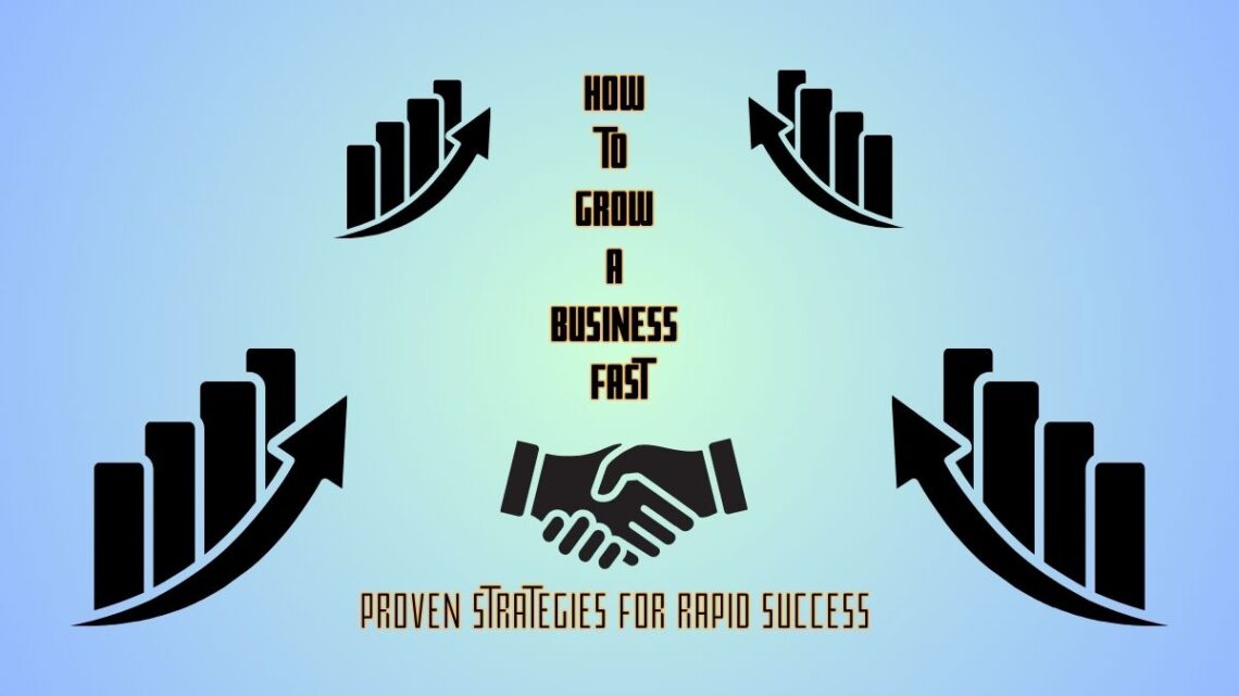 Growing a Business Fast